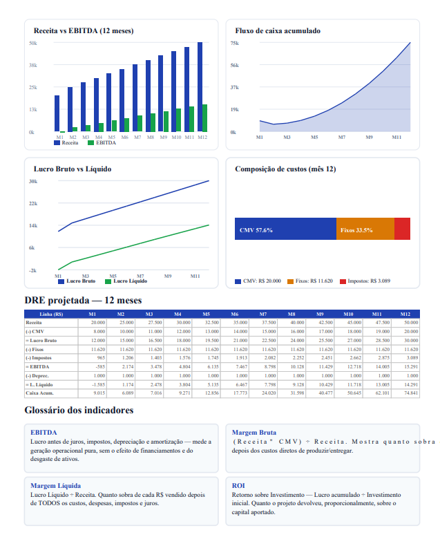 Página 8 do plano de negócios em PDF — Gráficos, DRE projetada e indicadores